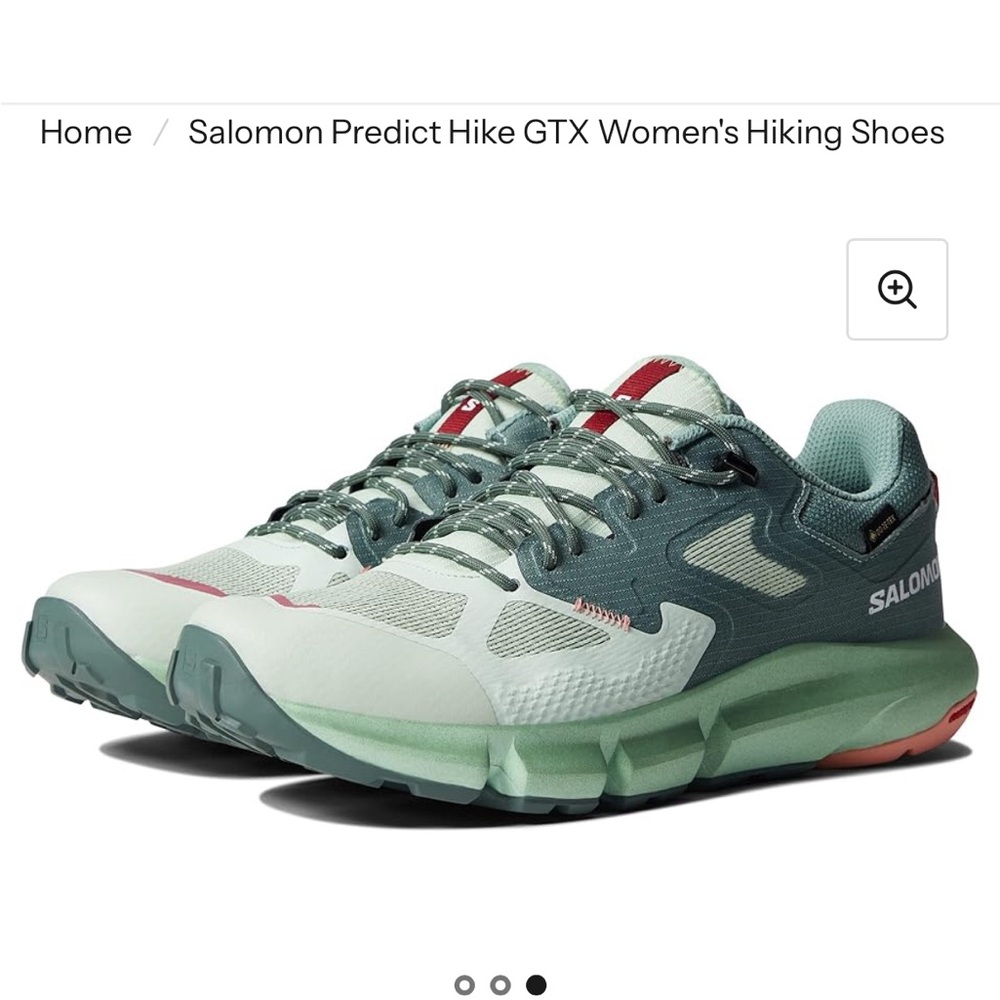 Salomon Women’s Predict Hiking Shoe Goretex